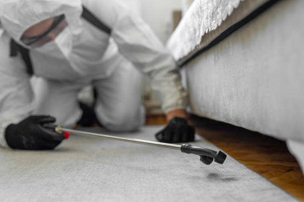 Professional Bed Bug Control technician working in West Peoria, IL