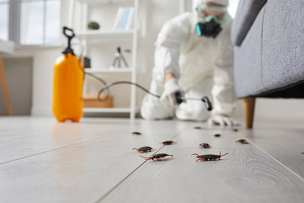 Trusted Rodent Control service in West Peoria, IL - Nex Pest Control