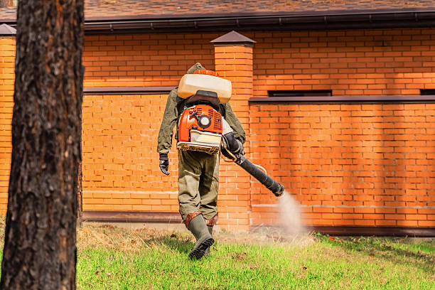 Trusted Emergency Pest Control service in West Peoria, IL - Nex Pest Control